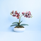 Arranjo Orquídeas Artificial No Vaso Baixo Branco | Formosinha